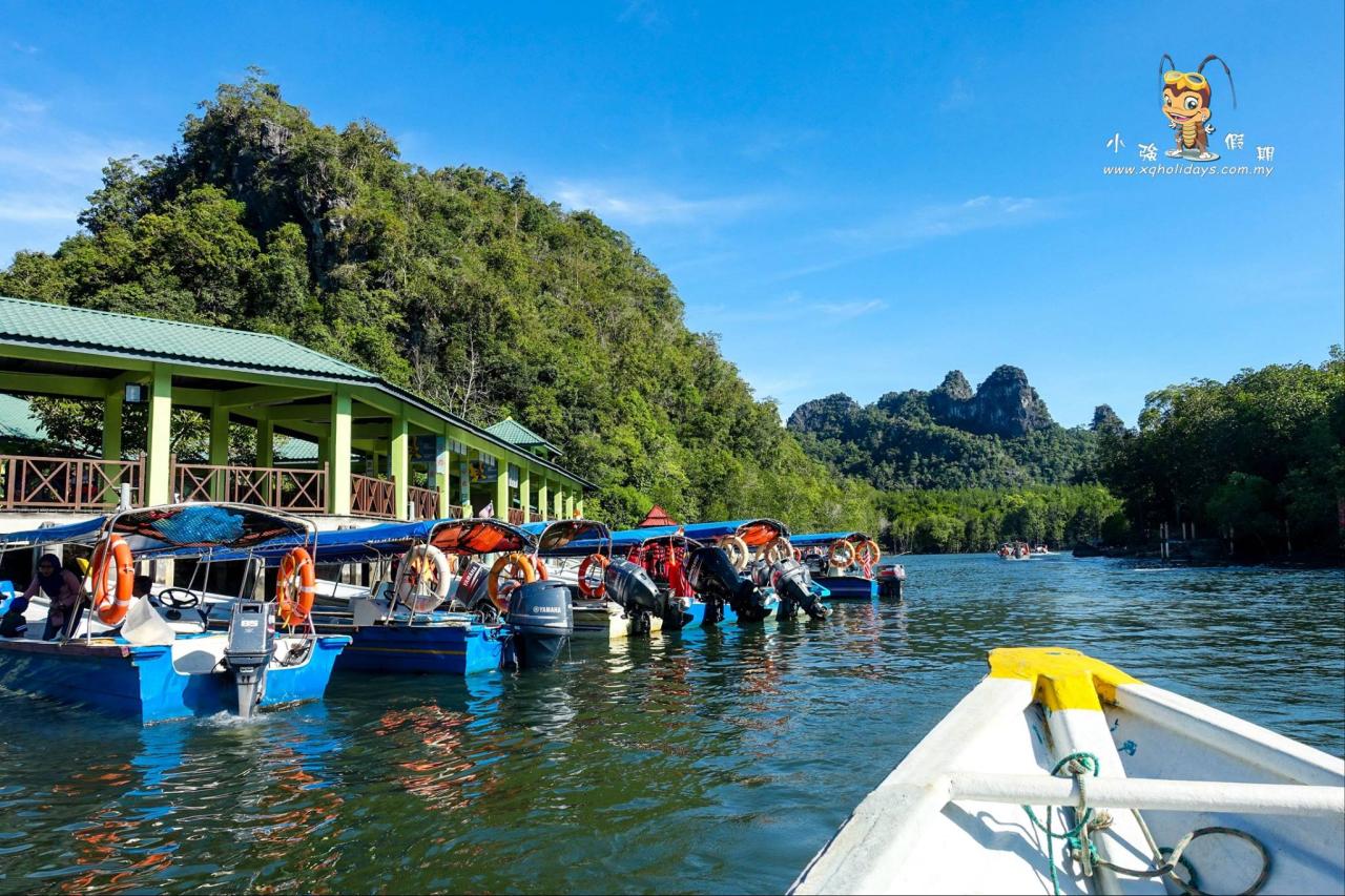 Nikmati Pesona Hutan Bakau Langkawi dalam Mangrove Tour yang Menakjubkan